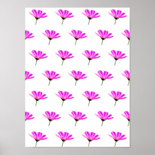 Roze Madeliefje  Poster