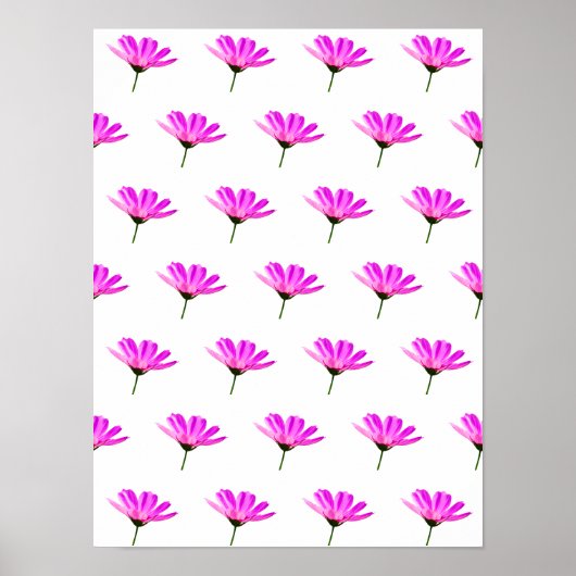 Roze Madeliefje Poster (Voorkant)