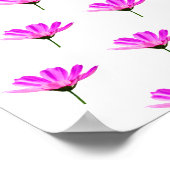 Roze Madeliefje Poster (Hoek)