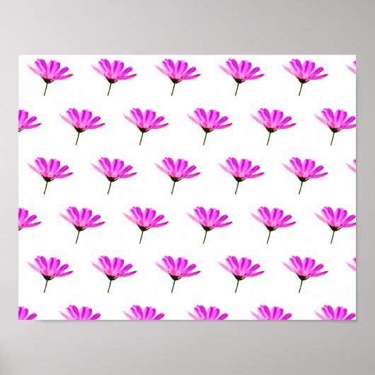 Roze Madeliefje Poster (Voorkant)