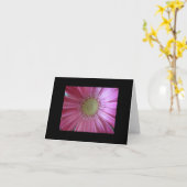 Roze Madeliefje Schoonheid Kaart (Gele Bloem)