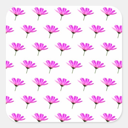 Roze Madeliefje Vierkante Sticker (Voorkant)
