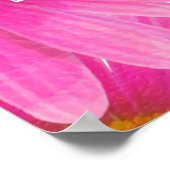 Roze Madeliefjes Bloem Madeliefje Elegante Feest B Poster (Hoek)