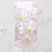 Roze Madeliefjes Chrysant Moederhart Menu (Achterkant)