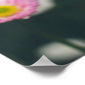 Roze madeliefjes en slipjes in de groene tuin poster (Hoek)