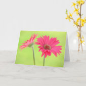 Roze Madeliefjes Gerber op Groen Wenskaart Kaart (Gele Bloem)