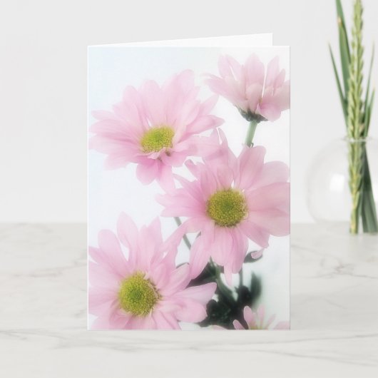 Roze Madeliefjes Kaart (Voorkant)