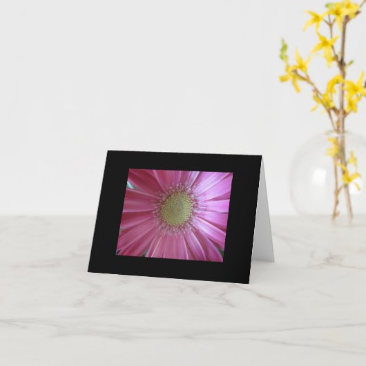 Roze Madeliefjes Schoonheid Kaart (Gele Bloem)