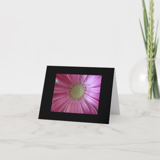 Roze Madeliefjes Schoonheid Kaart (Voorkant)