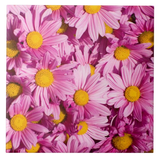 Roze madeliefjespatroon tegeltje (Voorkant)