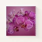 Roze Magenta Orchidee Bloemen Monogram Notitieboek (Achterkant)
