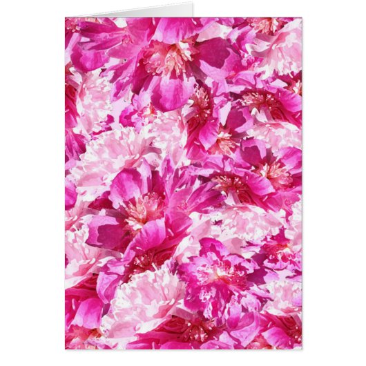 Roze & Magenta Pioen Bloemmotief Blank (Voorkant)