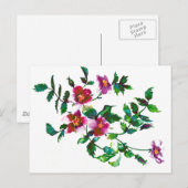  roze magenta Rozen, roze waterverf roze rozen Briefkaart (Voorkant / Achterkant)