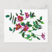  roze magenta Rozen, roze waterverf roze rozen Briefkaart (Voorkant)