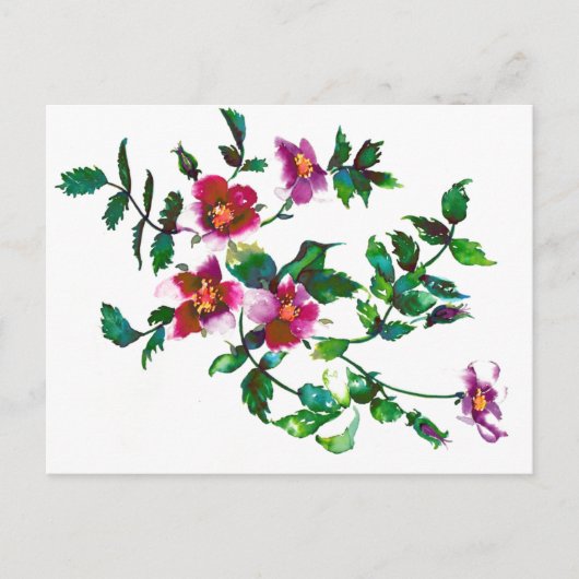  roze magenta Rozen, roze waterverf roze rozen Briefkaart (Voorkant)