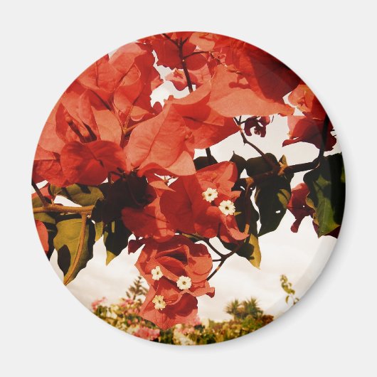 Roze Magneet (Voorkant)