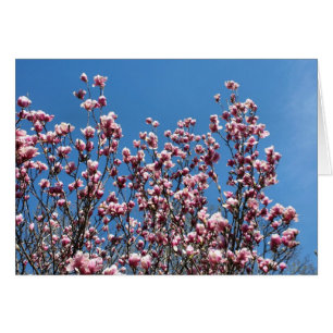 Roze Magnolia Bloemen Blauwe Lucht Notitiekaart