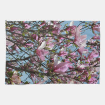 Roze Magnolia Bloemen Bloemen