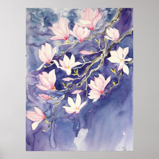 Roze Magnolia bloemen op paarse achtergrond Poster (Voorkant)