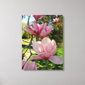  Roze Magnolia Bloemen Stretched Canvas Print (Voorkant)
