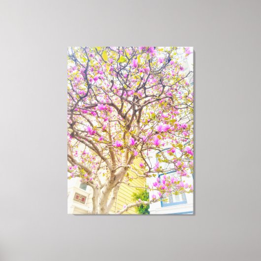 Roze Magnolia Bloesems Canvas Afdruk (Voorkant)