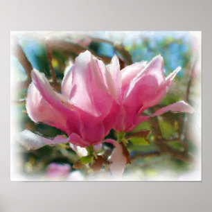 Roze Magnolia Blossingbloem Kunstfoto schilderen Poster