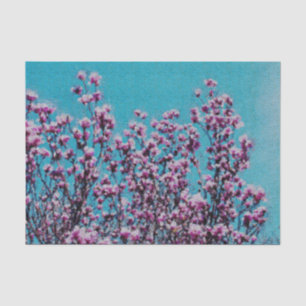 Roze Magnolia Blossom Blue Sky Decoupage Tissuepapier