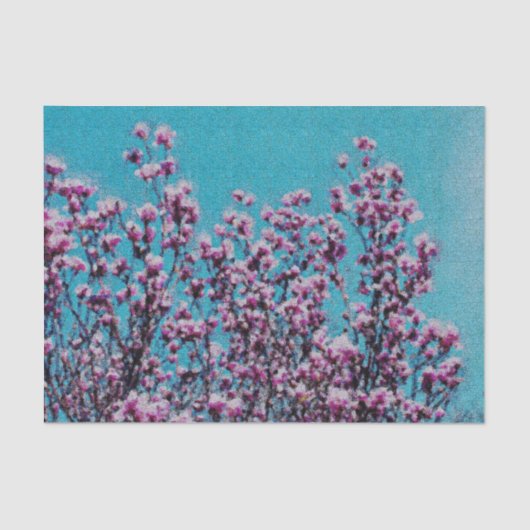 Roze Magnolia Blossom Blue Sky Decoupage Tissuepapier (Voorkant)