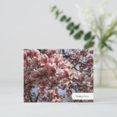  Roze Magnolia Blossom Briefkaart (Staand voorkant)