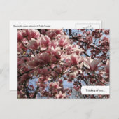  Roze Magnolia Blossom Briefkaart (Voorkant / Achterkant)