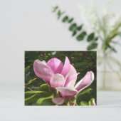 Roze Magnolia Briefkaart (Staand voorkant)