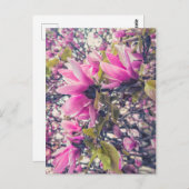 Roze Magnolia Briefkaart (Voorkant / Achterkant)