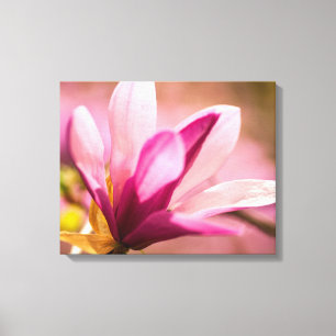 Roze Magnolia Canvas Afdruk
