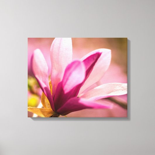 Roze Magnolia Canvas Afdruk (Voorkant)