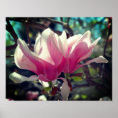 Roze Magnolia Flower Blossom Close Poster (Voorkant)