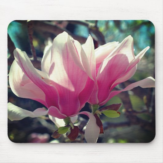 Roze Magnolia Flower Blossom Muismat (Voorkant)