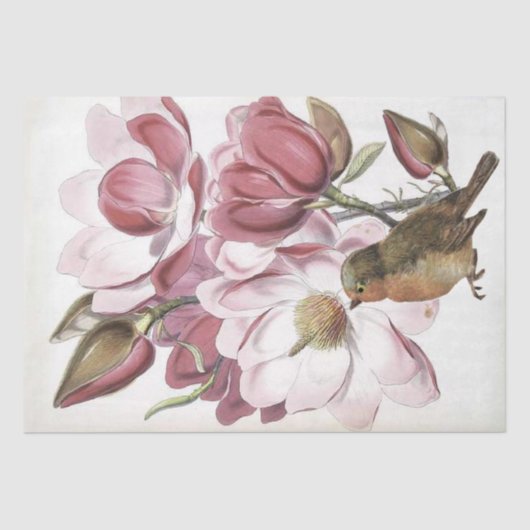 Roze Magnolia Flower Botanical Robin Bird Craft Tissuepapier (Voorkant)