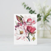 Roze Magnolia Flower Botany Illustratie Briefkaart (Staand voorkant)
