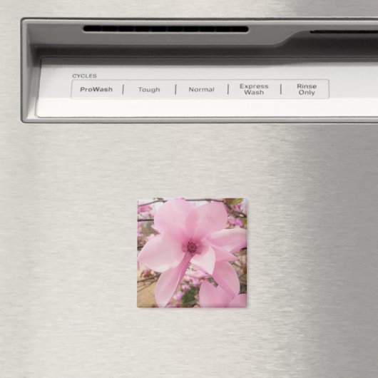 Roze Magnolia Flower Square Magnet (Insitu (Vaatwasser))