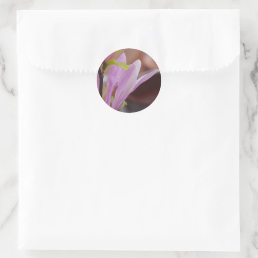 Roze Magnolia Flower Sticker (Tas)