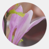 Roze Magnolia Flower Sticker (Voorkant)