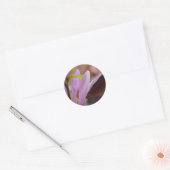 Roze Magnolia Flower Sticker (Envelop)