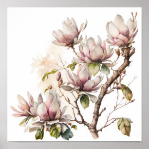 Roze Magnolia Flowers Art Print Poster