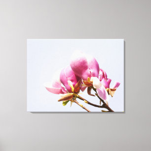 Roze Magnolia Flowers Canvas Afdrukken