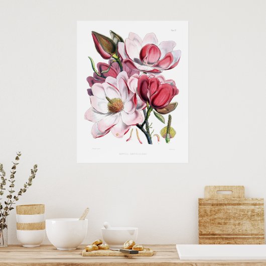 Roze Magnolia Flowers Print (Keuken)