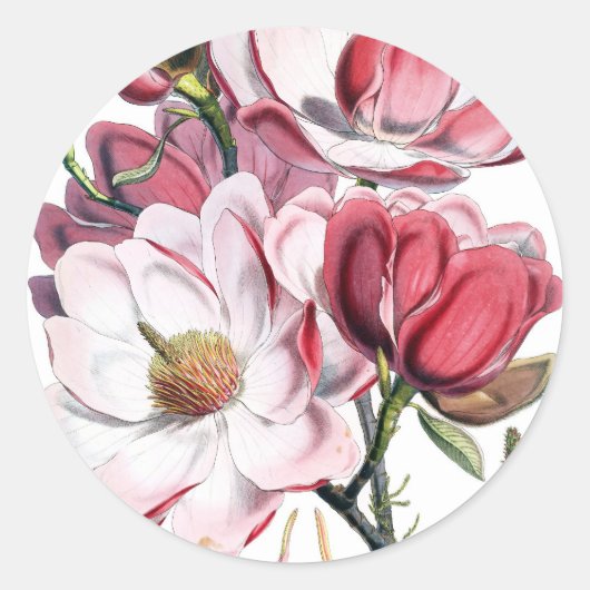 Roze Magnolia Flowers Ronde Sticker (Voorkant)
