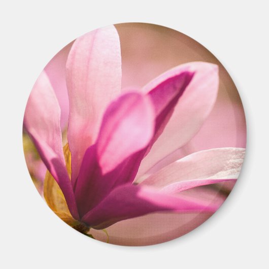Roze Magnolia Magneet (Voorkant)