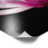 Roze Magnolia op zwart Foto Afdruk (Hoek)