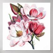 Roze Magnolia Poster (Voorkant)