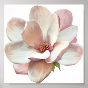 Roze magnolia poster